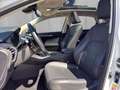 Lexus NX 300h Hybrid Aut. Weiß - thumbnail 9