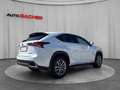 Lexus NX 300h Hybrid Aut. Weiß - thumbnail 5