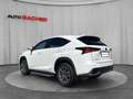 Lexus NX 300h Hybrid Aut. Weiß - thumbnail 3