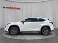 Lexus NX 300h Hybrid Aut. Weiß - thumbnail 2