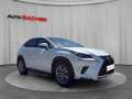 Lexus NX 300h Hybrid Aut. Weiß - thumbnail 7
