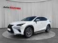 Lexus NX 300h Hybrid Aut. Weiß - thumbnail 1