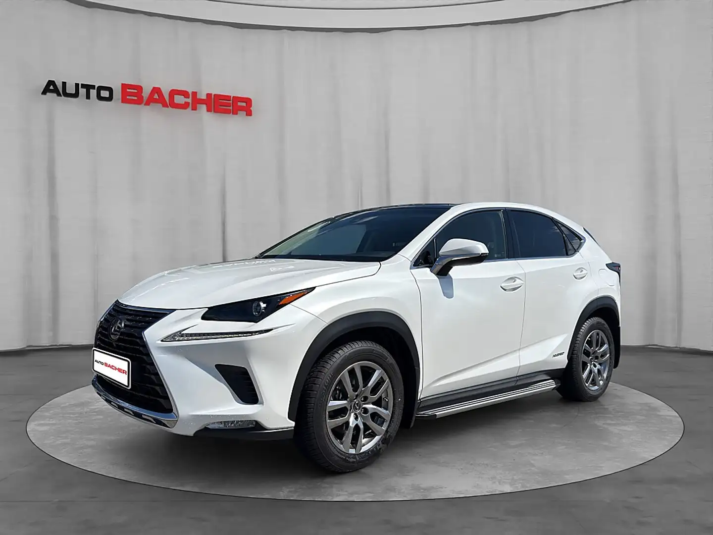 Lexus NX 300h Hybrid Aut. Weiß - 1