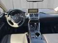 Lexus NX 300h Hybrid Aut. Weiß - thumbnail 11