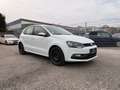 Volkswagen Polo Trendline Weiß - thumbnail 8
