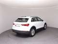 Audi Q3 35 TFSI intense Weiß - thumbnail 4