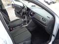 Volkswagen T-Roc 2,0 TDI SCR Design *Navi *Sportsitze Weiß - thumbnail 12
