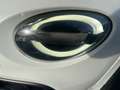 Fiat 500X 1.3 FireFly T4 Sport DCT AUTOMATIC FULL CREDIT100% Blanc - thumbnail 4