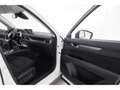 Mazda CX-5 2.0SKYACTIV-G Aut.Newground+LED+NAVI+HUD Blanco - thumbnail 16