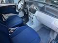 Fiat Punto 5p 1.2 Dynamic - EURO 3 - OK NEOPATENTATI Blu/Azzurro - thumbnail 13