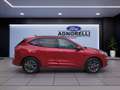 Ford Kuga 2.5 phev ST-Line X 2wd 225cv cvt Rosso - thumbnail 6