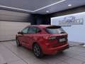 Ford Kuga 2.5 phev ST-Line X 2wd 225cv cvt Rosso - thumbnail 3
