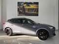 CUPRA Formentor 2.0 tsi VZ 245cv dsg Gri - thumbnail 6