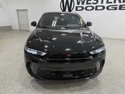 Dodge Hornet 2024