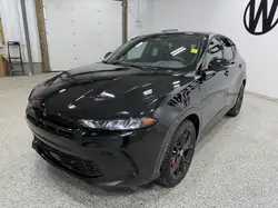 Dodge Hornet 2024