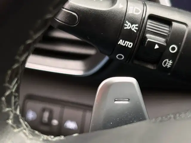 Hyundai Santa Fe view 22