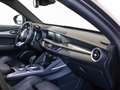 Alfa Romeo Stelvio 2.2 MJT Q4 210 CV Veloce *TETTO* Grigio - thumbnail 15