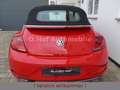 Volkswagen Beetle 1.2TSI Sound Plus Fender Xenon Navi AppCo Rojo - thumbnail 6