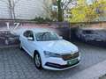 Skoda Superb 2,0 TDI Ambition Weiß - thumbnail 9