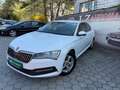 Skoda Superb 2,0 TDI Ambition Weiß - thumbnail 3