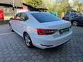 Skoda Superb 2,0 TDI Ambition Weiß - thumbnail 5