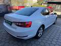 Skoda Superb 2,0 TDI Ambition Weiß - thumbnail 7