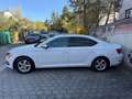 Skoda Superb 2,0 TDI Ambition Weiß - thumbnail 12