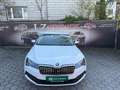 Skoda Superb 2,0 TDI Ambition Weiß - thumbnail 10
