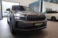 Skoda Kodiaq 2,0 TDI 4x4 Selection DSG DAB LED Grau - thumbnail 30