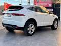 Jaguar E-Pace 2.0D I4 SE AWD Aut. 163 Weiß - thumbnail 5