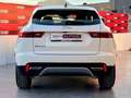 Jaguar E-Pace 2.0D I4 SE AWD Aut. 163 Weiß - thumbnail 4