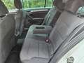 Volkswagen Golf Golf VII  5p 1.6 tdi (btdi) Comfortline 110cv Blanc - thumbnail 9
