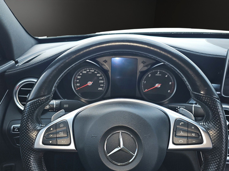 Mercedes-Benz C 250 BlueTEC AMG Line Automatik+AHK — photo 12
