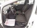Ford Puma 1.0 EcoBoost Hy 125 CV S&S ST-Line * PROMO OTTOBRE Bianco - thumbnail 6