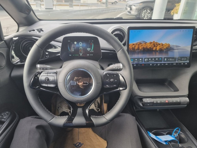 BYD Dolphin Comfort MY2025 — photo 6
