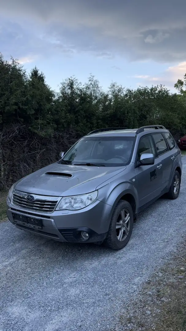 Subaru Forester 2,0D XS Comfort Fixpreis Grau - 1