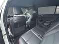 Kia Sportage GT-Line 4WD Pano*Bi-LED*DAB+*JBL*Leder Weiß - thumbnail 10