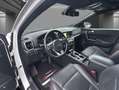 Kia Sportage GT-Line 4WD Pano*Bi-LED*DAB+*JBL*Leder Weiß - thumbnail 6