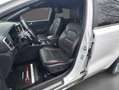 Kia Sportage GT-Line 4WD Pano*Bi-LED*DAB+*JBL*Leder Weiß - thumbnail 8