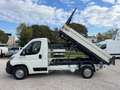 Citroen Jumper 35 L2 Cassone Ribaltabile Trilaterale + IVA Blanc - thumbnail 10