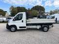 Citroen Jumper 35 L2 Cassone Ribaltabile Trilaterale + IVA Blanc - thumbnail 3