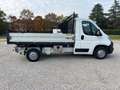 Citroen Jumper 35 L2 Cassone Ribaltabile Trilaterale + IVA Blanc - thumbnail 5