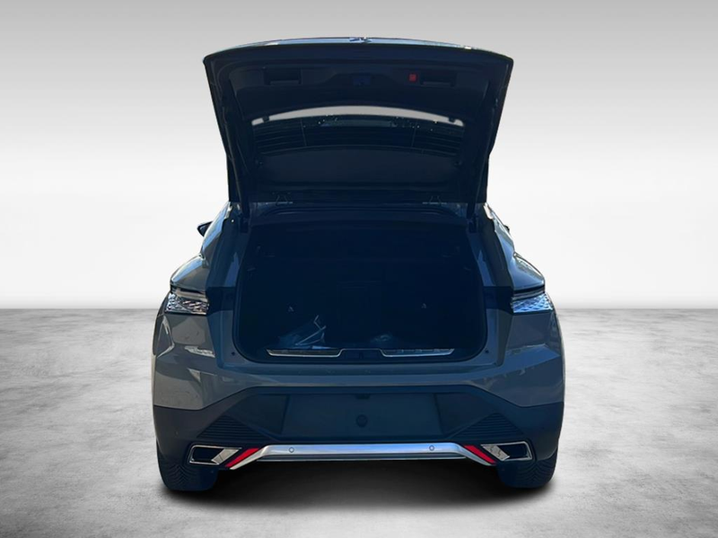 DS Automobiles DS 4 Cross Rivoli — photo 8