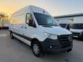 Mercedes-Benz Sprinter 317 CDI Lang Superhochdach *Die Letzten ihrer Art* Weiß - thumbnail 9
