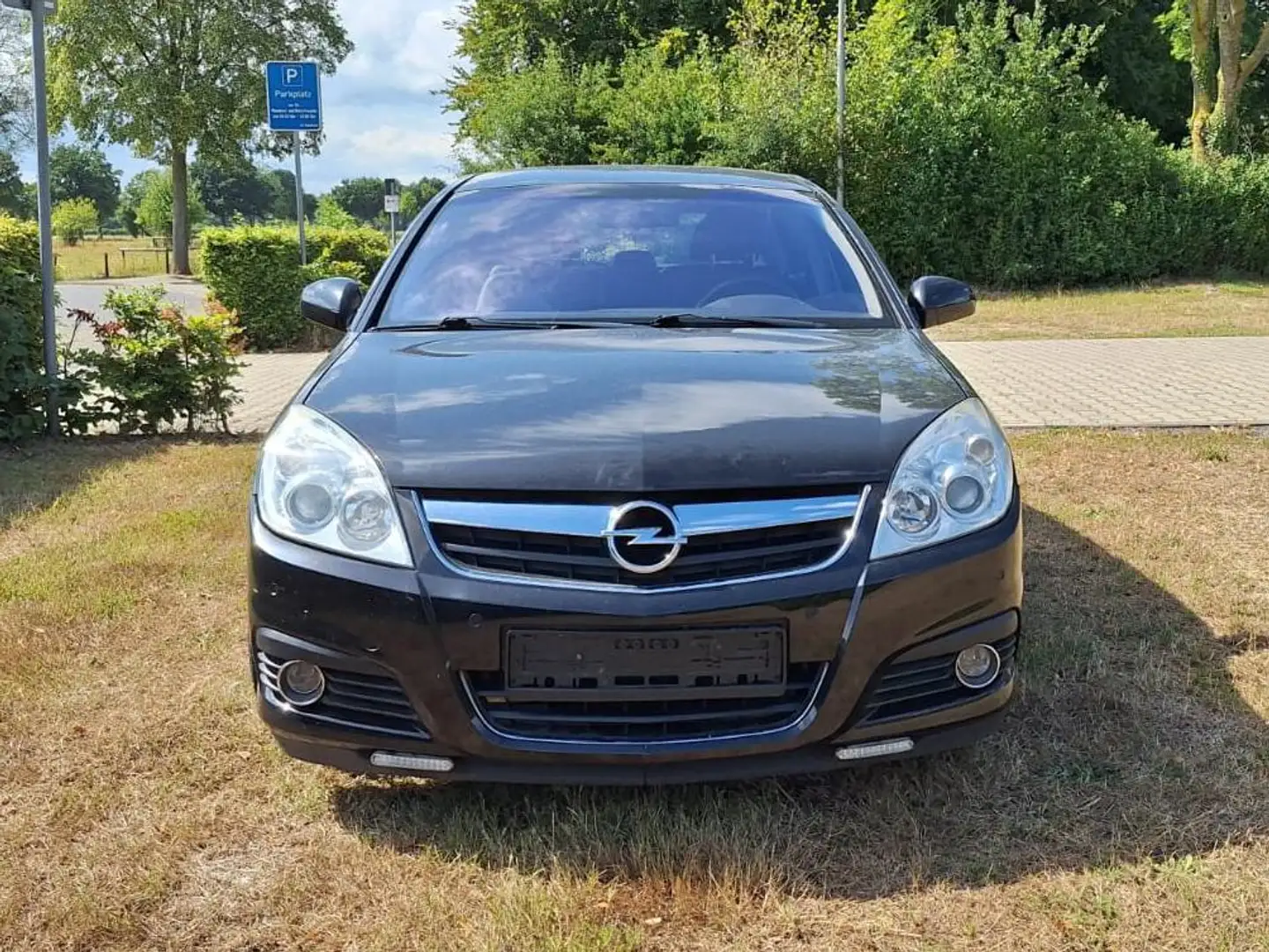 Opel Signum Noir - 2