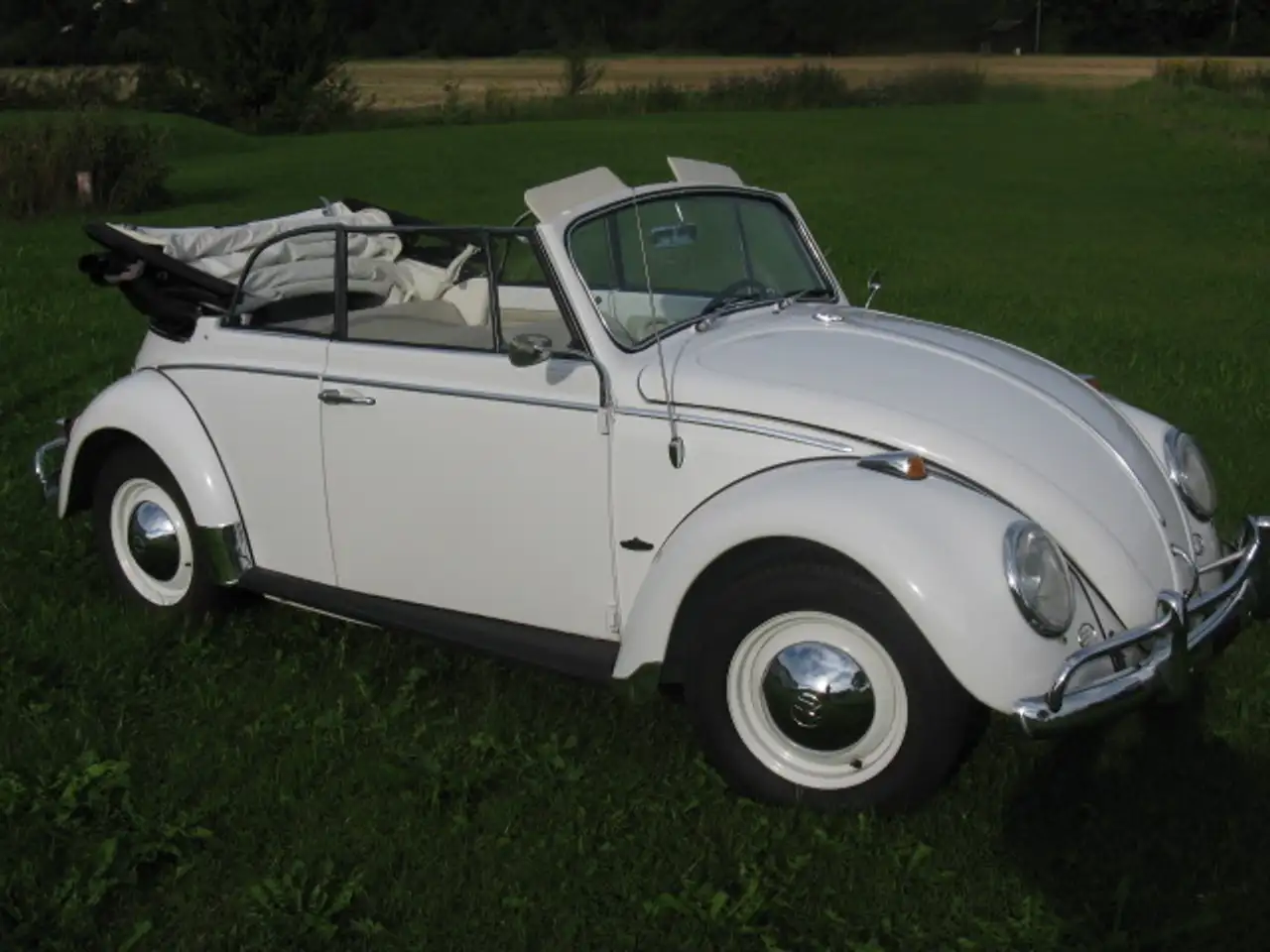 Volkswagen Käfer, foto 2