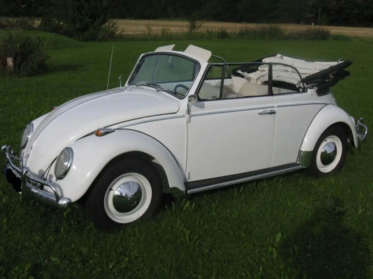 Volkswagen Käfer, foto 1