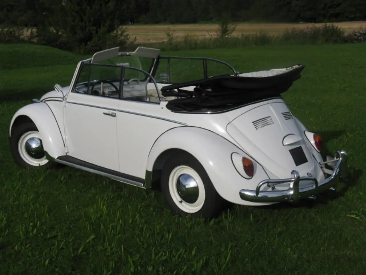 Volkswagen Käfer, foto 5