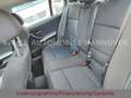 BMW 316 d Lim. /Tüv NEU/Garantie Schwarz - thumbnail 15