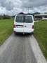Volkswagen T6 Transporter Langerradstand Weiß - thumbnail 6